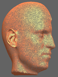 High resolution mesh of the YK head (half model)